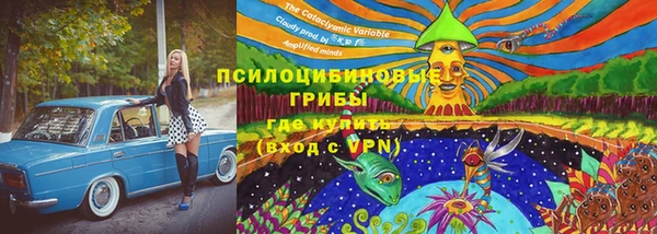 прущий лед Аркадак