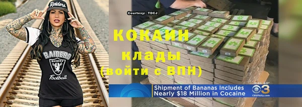 шишки Армянск