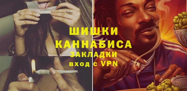 шишки Армянск