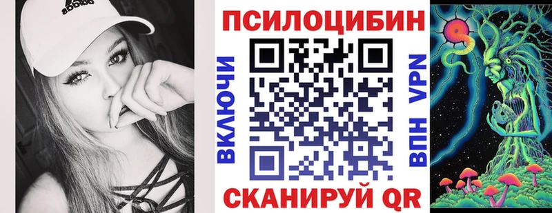 Псилоцибиновые грибы GOLDEN TEACHER  Бабаево 